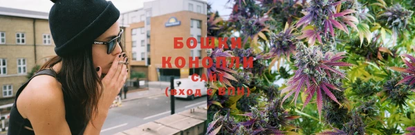 ГАЛЛЮЦИНОГЕННЫЕ ГРИБЫ Лабытнанги